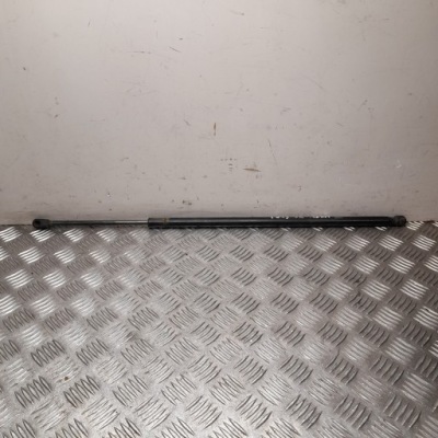 Пружина газова tesla model s 2015 6006608 фото №1