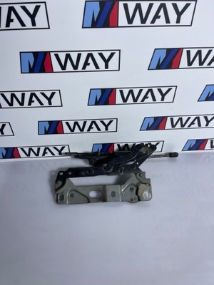 BMW F01 F02 F04 CHARNELA TAPONES DE CAPO IZQUIERDO 7184189  