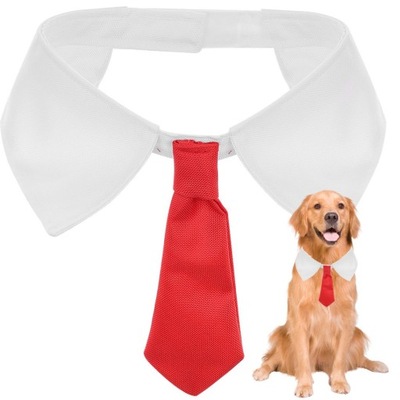 Kołnierzyk z Krawatem, krawat dla psa lub kota Lovedog, polski produkt L