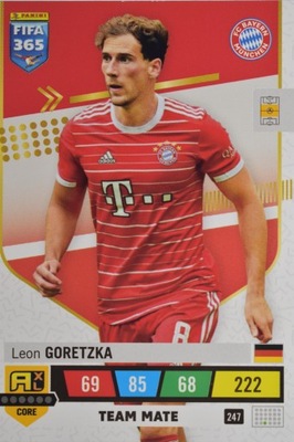 FIFA 365 2023 TEAM MATE 247 GORETZKA