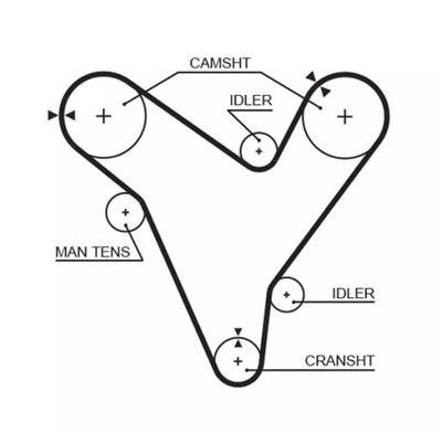 CORREA DISTRIBUCIÓN  