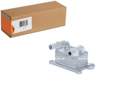 Радиатор масла mercedes citan mpv citan minivan w415 dacia dokker фото №1