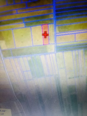 Działka, Falki, Wyszki, Bielski, 9890 m²