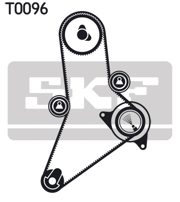 JUEGO DISTRIBUCIÓN (Z PASKIEM) FIAT  