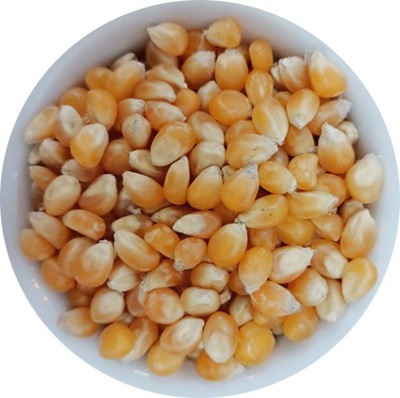 KUKURYDZA POPCORN ZIARNO 25kg