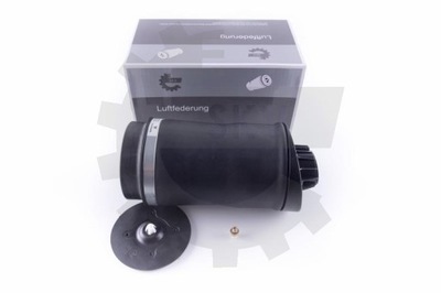 Esen skv 58skv025 подушка повітряна, підвіска фото №1