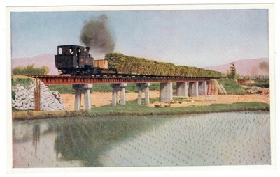 Pocztówka 1956 Tajwan pociąg lokomotywa trzcina cu