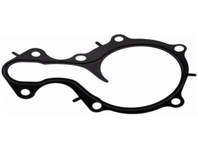 Прокладка насоса wody ford tourneo connect 1.0 courier 1.0 фото №1