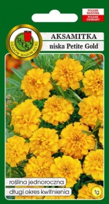 Aksamitka pełna niska Petite Gold 1 g PNOS