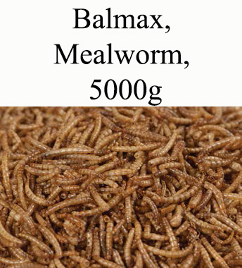 Balmax, Mealworm, Suszone larwy mącznika młynarka