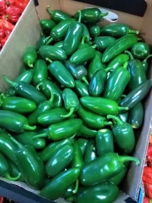 JALAPENO ZIELONA PAPRYKA ŚWIEŻA 1kg