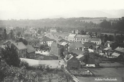 Maków Podhalański - Reprodukcja 12319