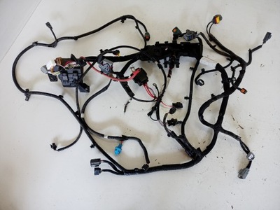 Електропроводка двигуна renault fluence ze фото №1