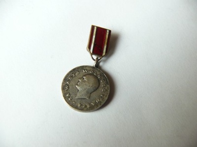 Medal '' ZA WASZĄ WOLNOŚĆ I NASZĄ '' miniatura