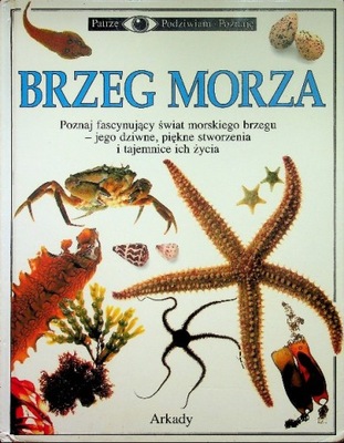 Steve Parker - Brzeg morza