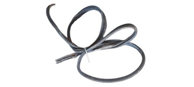 Прокладка двері передніх ліва права master movano фото №1