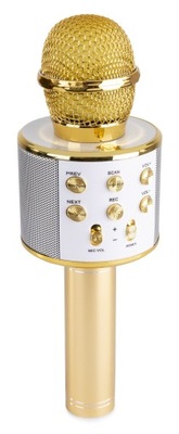 Mikrofon WS-858