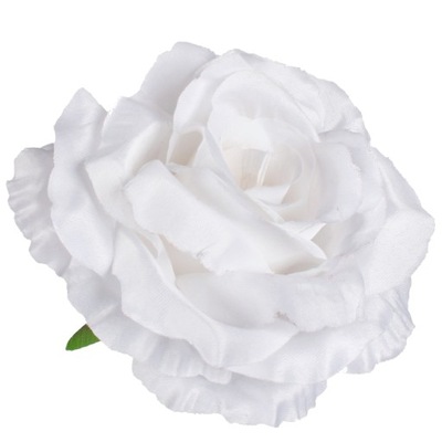 Róża piękna duża główka kwiatowa Biała W708-01
