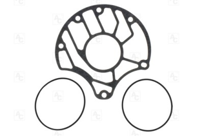Набор kpl.oringów i прокладка pod stator dct450 stator g фото №1