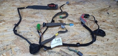 Volvo xc60 08- джгут електропроводка двері правий перед фото №1