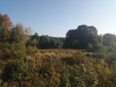 Działka, Będzin, Będziński, 21233 m²