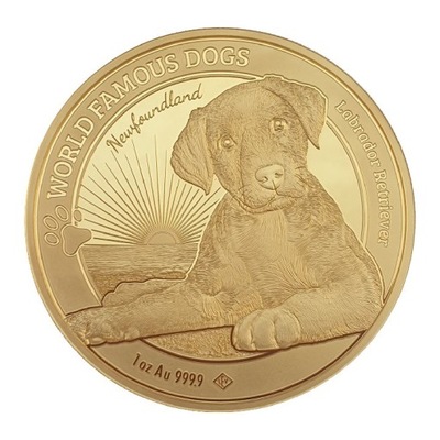 Złota moneta Labrador, 1 oz, 2023