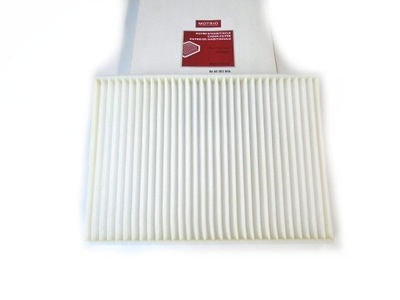 FILTRO AIRE RENAULT MOTRIO 8660003806  