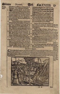 Karta z niemieckiej Biblii z Drzeworytem, 1610 rok