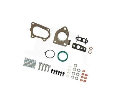 Набір монтажний турбонагнітача renault master 2.3dci 11- 43 елемент. фото №1