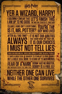 Plakat Harry Potter Cytaty z filmu 61x91,5 cm
