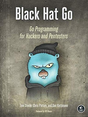 BLACK HAT GO: GO PROGRAMMING FOR HACKERS AND PENTE