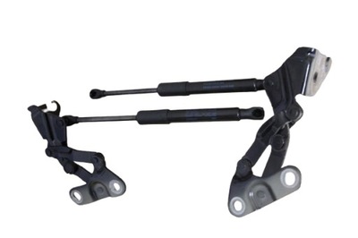 Амортизаторы петли крышки vw troc cabrio 2gc827901a фото №1