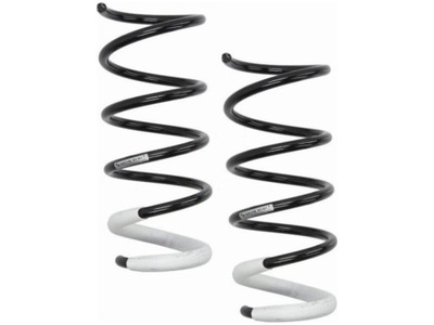 Пружини перед sachs 993 463 фото №1