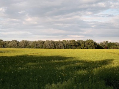 Działka, Ełcki (pow.), 3000000 m²