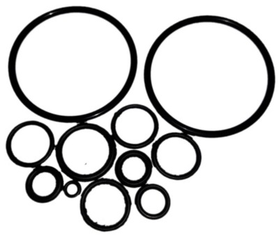 PIERŚCIENIE ORINGI REGULATORA MTZ 80 82 BELARUS PRONAR 8046140