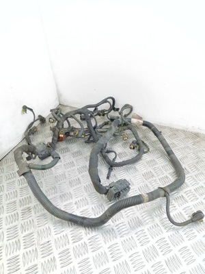 Opel signum 2006 жгут трубопровод двигателя фото №1