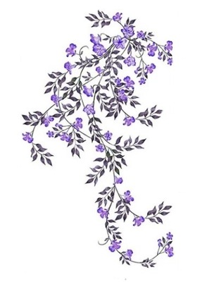 Naklejki na ścianę - gałąź winorośli - fioletowe kwiaty oraz liście