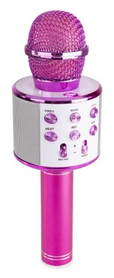 Mikrofon WS 858