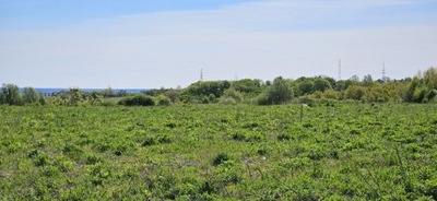 Działka, Szczecin, Skolwin, 652 m²