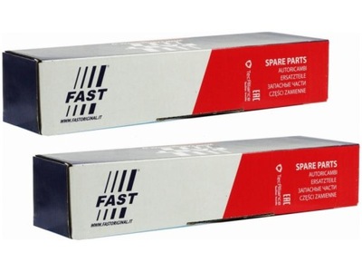 Пружины задняя fast ft12209 фото №1