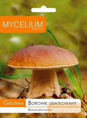 BOROWIK USIATKOWANY 10G