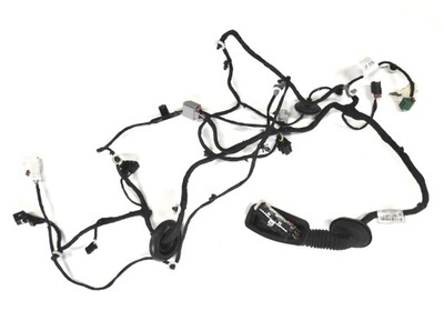 Джгут двері правий перед keyless opel insignia b europa фото №1