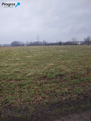 Działka, Międzyrzecze Dolne, 1077 m²