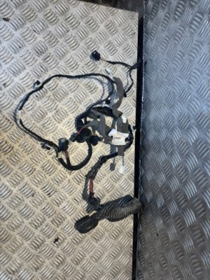 Джгут двері правий задній - renault espace v фото №1