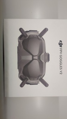 DJI FPV gogle V2