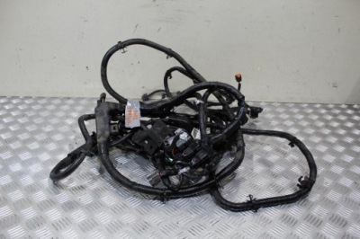 Жгут электрическая рамы navara iv 4 d23 np300 фото №1