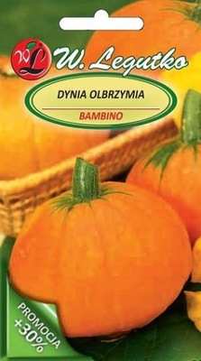 Nasiona Dyni olbrzymiej Bambino dynia Legutko 4g