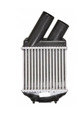 Renault megane scenic 96-99 интеркулер 1.9 dt фото №1