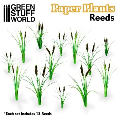 GSW 10375 Paper Plants - Reeds \ Trzciny (rośliny papierowe)