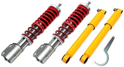 SUSPENSION SCREWED DEEP TA TECHNIX X-GWRE03 RENAULT MEGANE I  